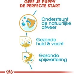 Royal Canin Golden Retriever Junior 12 KG 22 Royal Canin Golden Retriever Junior 12 KG -Dierenwinkel 1186x1200 3