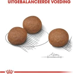 Royal Canin Digestive Care Medium - Hondenvoer - 12 Kg -Dierenwinkel 1186x1200 6