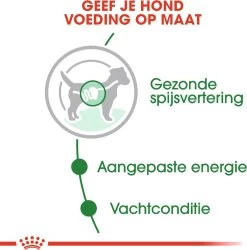 Royal Canin Shn Mini Adult Pouch - Hondenvoer - 12 X 85 G 22 Royal Canin Shn Mini Adult Pouch - Hondenvoer - 12 X 85 G -Dierenwinkel 1186x1200 7