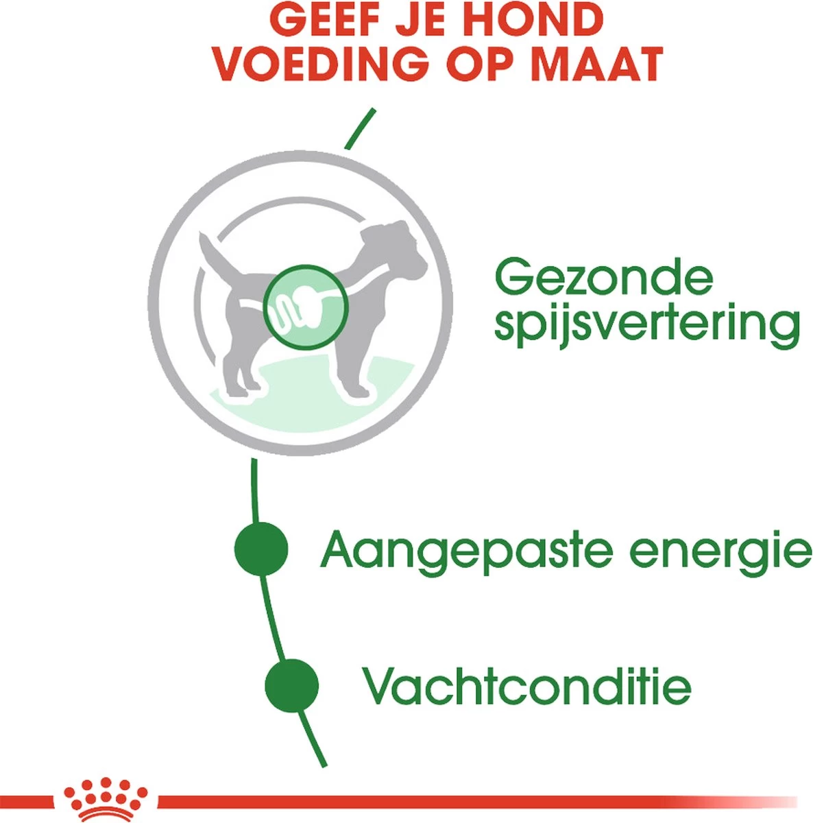 Royal Canin Shn Mini Adult Pouch - Hondenvoer - 12 X 85 G 11 Royal Canin Shn Mini Adult Pouch - Hondenvoer - 12 X 85 G - Afbeelding 9