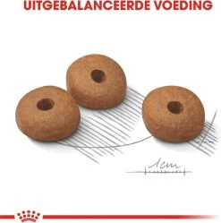 Royal Canin Mini Light 8 KG -Dierenwinkel 1190x1200 3