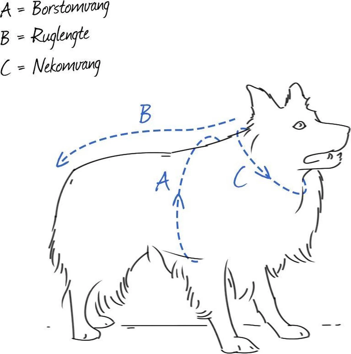 Hunter Harnas Norweger Racing - Hondentuig - Bruin/Cognac - M - 52-62 X 2.5 Cm 4 Hunter Harnas Norweger Racing - Hondentuig - Bruin/Cognac - M - 52-62 X 2.5 Cm - Afbeelding 2