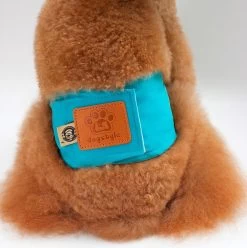 Merkloos Hondenluier Voor Kleine Hond - Luier Voor Reu - Buikband Maat S 27 Cm X 25 Cm -Dierenwinkel 1194x1200 8