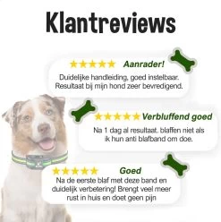 Blaffie® Anti Blafband – Trainingshalsband Voor Kleine En Grote Honden – Oplaadbaar– Anti Blaf Apparaat – Zonder Schok – Diervriendelijk - Blafband Voor Honden 16 Blaffie® Anti Blafband – Trainingshalsband Voor Kleine En Grote Honden – Oplaadbaar– Anti Blaf Apparaat – Zonder Schok – Diervriendelijk - Blafband Voor Honden -Dierenwinkel 1195x1200 16