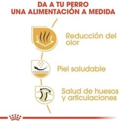 Royal Canin English Bulldog 12 KG -Dierenwinkel 1197x1200 4