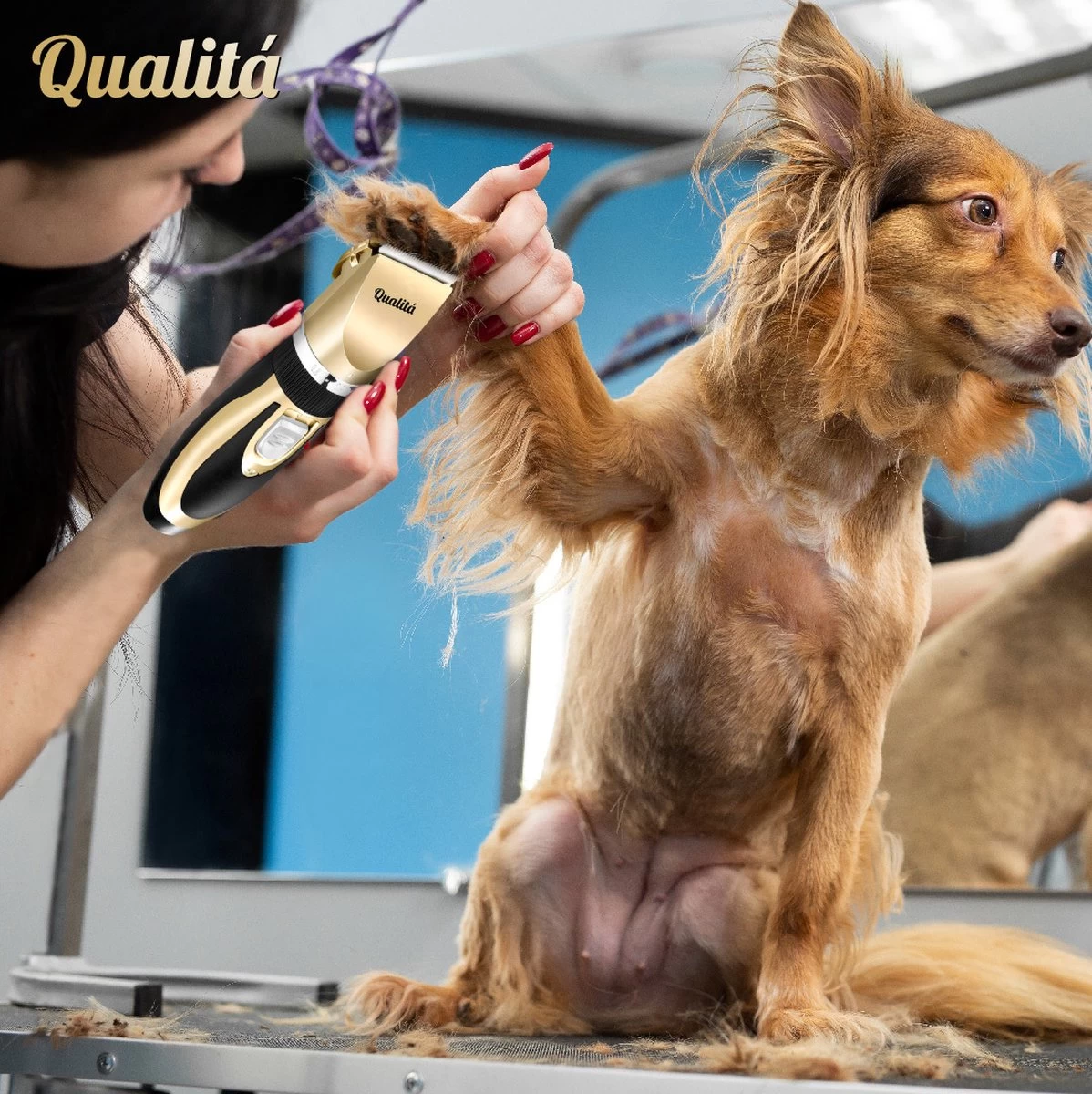 Merkloos Professionele Honden Tondeuse Set - Tondeuse Voor Huisdier Honden En Katten - Hondentrimmer - Hondentondeuse 6 Merkloos Professionele Honden Tondeuse Set - Tondeuse Voor Huisdier Honden En Katten - Hondentrimmer - Hondentondeuse - Afbeelding 4