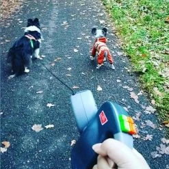 Merkloos Dubbele Hondenriem Voor Twee Honden - Grijs - Tot 22 Kg (per Hond) - 300 Cm -Dierenwinkel 1198x1200 35