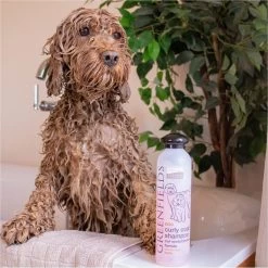 Greenfields Labradoodle Vacht Verzorgingsset - Shampoo En Anti-Klit Spray Voor Langharige Of Krullende Vacht -Dierenwinkel 1199x1200 13