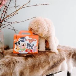Smoofl Honden Lekkernij - Starter Kit Om Je Eigen Honden Ijs Te Maken, Kit Met 2 Ijsmixen Voor Honden, Pindakaas En Aardbei Smaak, Een Pootvormige Silicone Vorm - Voor 4 Hondenijsjes -Dierenwinkel 1199x1200 3