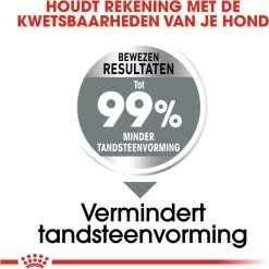 Royal Canin Medium Dental Care - 10 Kg 18 Royal Canin Medium Dental Care - 10 Kg -Dierenwinkel 1199x1200 4