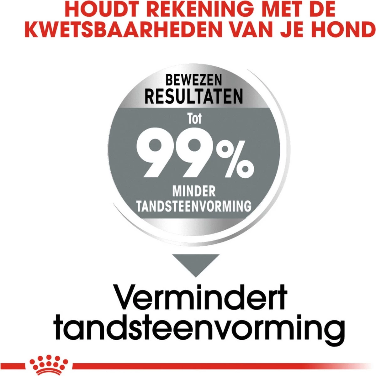 Royal Canin Medium Dental Care - 10 Kg 7 Royal Canin Medium Dental Care - 10 Kg - Afbeelding 5