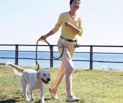 Canicross Looplijn Hond Met Heupriem Voor Hardlopen - Elastische Handsfree Hondenriem - Honden Trainingslijn - 150/210cm - Zwart -Dierenwinkel 1200x1000 11