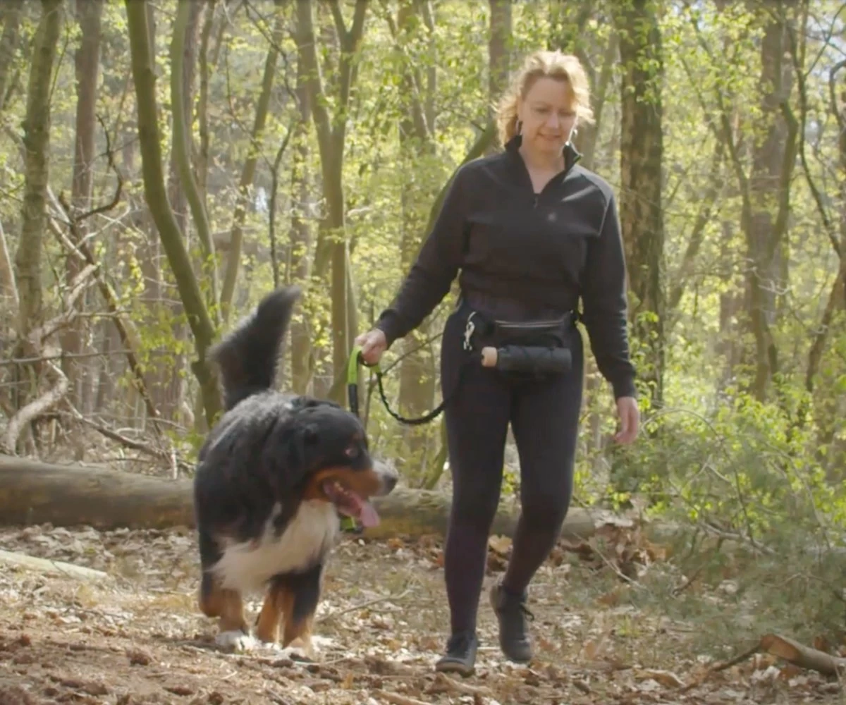 Canicross Looplijn Hond Met Heupriem Voor Hardlopen - Elastische Handsfree Hondenriem - Honden Trainingslijn - 150/200cm - Blauw 4 Canicross Looplijn Hond Met Heupriem Voor Hardlopen - Elastische Handsfree Hondenriem - Honden Trainingslijn - 150/200cm - Blauw - Afbeelding 2