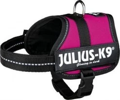 Julius K9 Original Powertuig/Harnas - Fuchsia - S - Mini/49-67cm -Dierenwinkel 1200x1002 3