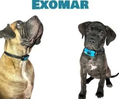 Exomar® Anti Blafband Voor Honden Blafband Anti Blaf Apparaat Blafband Zonder Schok - Diervriendelijk 15 Exomar® Anti Blafband Voor Honden Blafband Anti Blaf Apparaat Blafband Zonder Schok - Diervriendelijk -Dierenwinkel 1200x1003 1