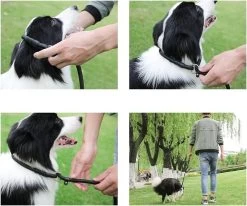 LOUZIR Cesar Millan Sliplijn Met Stop - Hondenriem - Rood - 130 Cm -Dierenwinkel 1200x1003 2