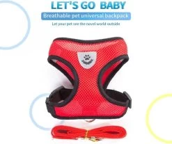 Hondentuig- Hondentuigjes Kleine Hond-hondentuigjes Puppy-Kattenspeeltjes-kat-dog-Kattenharnas-kattentuigje -kattentuigje Met Looplijn-maat M-Rood -Dierenwinkel 1200x1007 3