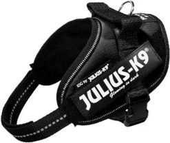 Julius K9 Julius-K9 IDC®Powertuig, 2XL - Maat 3, Zwart -Dierenwinkel 1200x1010 5