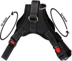 PetsPro Hondentuigje - Maat M - Anti Trek Honden Harnas - Honden Tuig - Tot 30 Kg - Nek Omvang: 45-56 Cm Borst Omvang: 52-64 Cm -Dierenwinkel 1200x1016 3