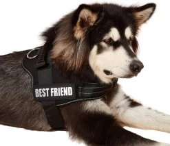 Woofy Hondentuig - Anti Trek - Hondenharnas - Reflecterend - Verstelbaar 17 Woofy Hondentuig - Anti Trek - Hondenharnas - Reflecterend - Verstelbaar -Dierenwinkel 1200x1034 1