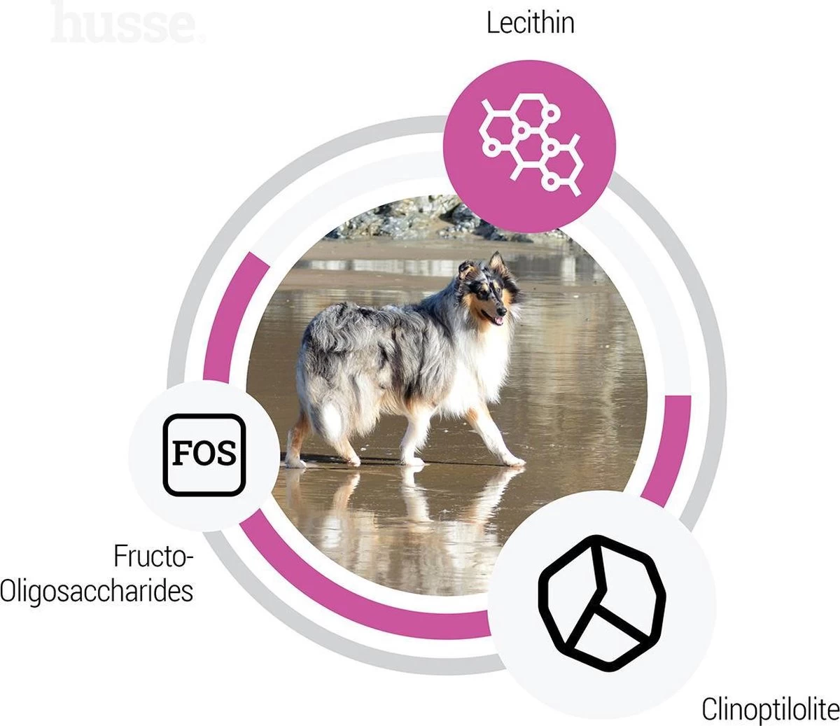 Husse Zalm En Rijst Hypoallergeen - Hondenvoer - 12,5 Kg 8 Husse Zalm En Rijst Hypoallergeen - Hondenvoer - 12,5 Kg - Afbeelding 6