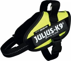 Julius K9 Julius-K9 IDC®Powertuig, S - Mini, Neon -Dierenwinkel 1200x1041 7