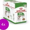 Royal Canin Shn Mini Adult Pouch - Hondenvoer - 4 X 12 X 85 G 1 Royal Canin Shn Mini Adult Pouch - Hondenvoer - 4 X 12 X 85 G -Dierenwinkel 1200x1042