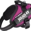 Julius K9 Julius-K9 IDC®Powertuig, XS - Mini-Mini, Donkerroze -Dierenwinkel 1200x1045 3