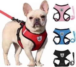 Zavelo® Honden Tuigje - Puppy En Kattentuigje - Hondenharnas - Reflecterend - Incl. Bijpassend Riempje - Zwart-Maat: S -Dierenwinkel 1200x1053 7