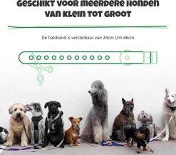 Anti Blafband Met Afstandsbediening - Blafband Voor Honden - Anti Blaf Apparaat Zonder Schok - Twee In Een Trainingshalsband 17 Anti Blafband Met Afstandsbediening - Blafband Voor Honden - Anti Blaf Apparaat Zonder Schok - Twee In Een Trainingshalsband -Dierenwinkel 1200x1055 3