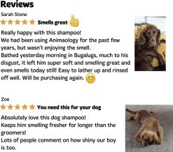 Bugalugs - Hondenshampoo - One In A Million - Alle Vachttypes - Fles Met Pompje - Vegan - 500 Ml -Dierenwinkel 1200x1061 1