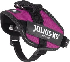 Julius K9 Julius-K9 IDC®Powertuig, XS - Mini-Mini, Donkerroze 14 Julius K9 Julius-K9 IDC®Powertuig, XS - Mini-Mini, Donkerroze -Dierenwinkel 1200x1062 6
