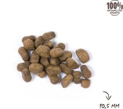 VITALstyle HUID+VACHT - Hondenbrokken - 12 Kg -Dierenwinkel 1200x1066