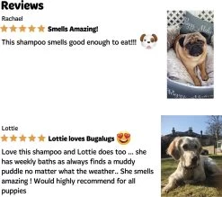 Bugalugs - Hondenshampoo - One In A Million - Alle Vachttypes - Fles Met Pompje - Vegan - 500 Ml -Dierenwinkel 1200x1066 7