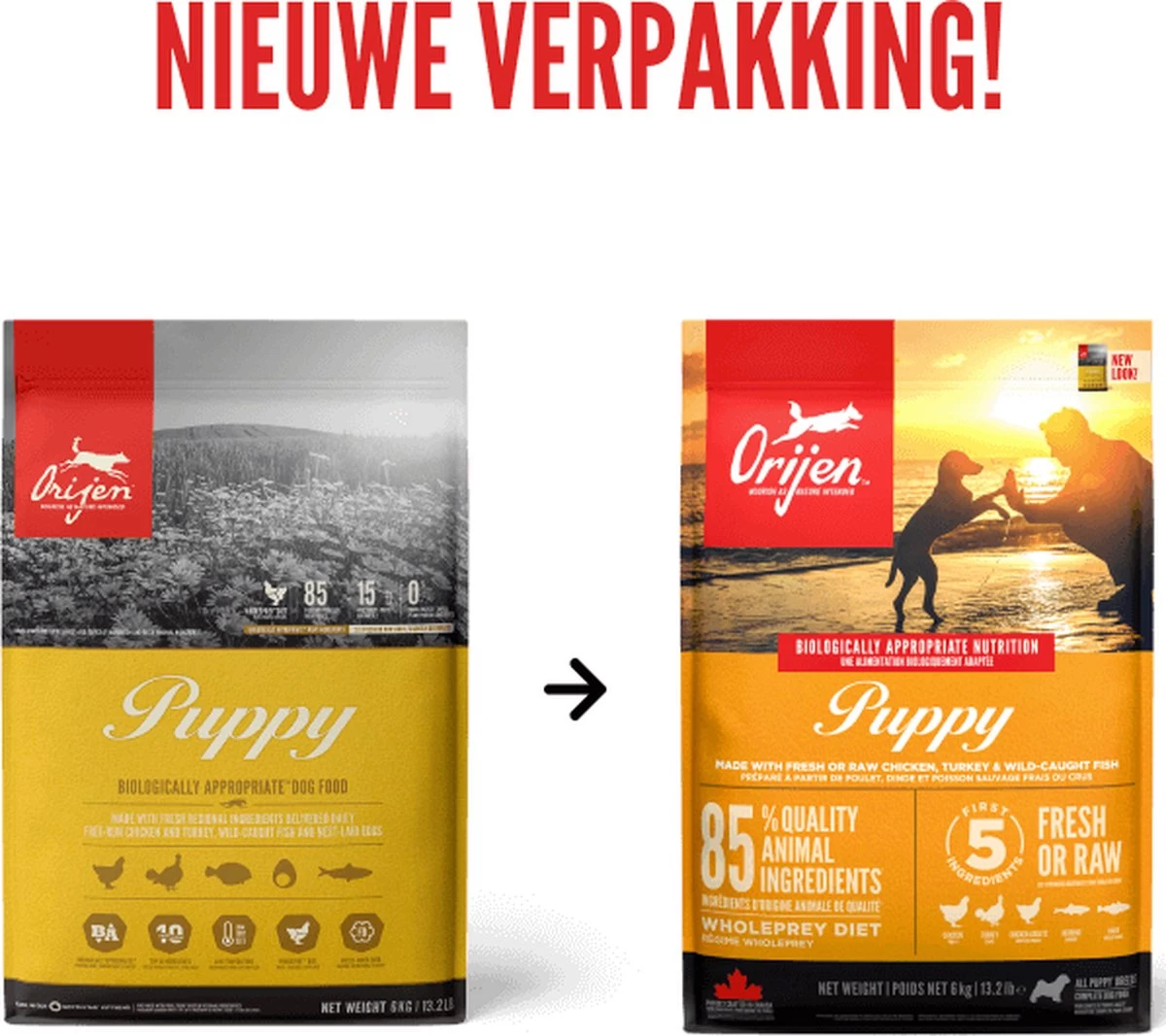 Orijen Puppy 16 Orijen Puppy - Afbeelding 14