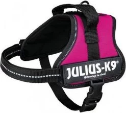 Julius K9 Original Powertuig/Harnas - Fuchsia - M - Maat 0/58-76cm -Dierenwinkel 1200x1076 1