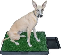 Adori Trainingsmat Gras - Hondentoilet - 50x63 Cm Multi-Color 9 Adori Trainingsmat Gras - Hondentoilet - 50x63 Cm Multi-Color -Dierenwinkel 1200x1082 2