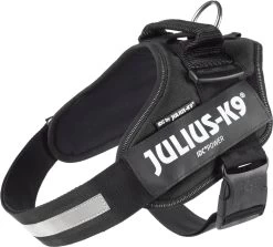 Julius K9 Julius-K9 IDC®Powertuig, L - Maat 1, Zwart