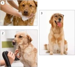 Waterblazer Hond - Hondendroger -Dierenwinkel 1200x1083 1