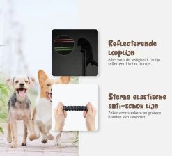 Hardloopriem Hond – Honden Riem Handsfree – Hardlopen Met Hond – 160-260 Cm Groen- Hardloopband Hond – Halsband Hond – Hondenlijn – Leiband Hond -Dierenwinkel 1200x1087 11