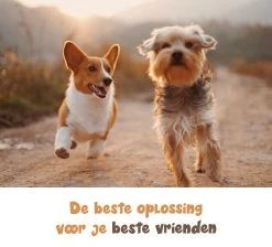 Dubbele Honden Riem – Leiband Hond – Hondenlijn – Looplijn Hond – 2 Honden – 3 Meter – Tot 12kg Per Hond – Reflecterende Lijnen – Met Zaklamp – 360° Draaien – Verstelbaar - Zwart -Dierenwinkel 1200x1087 16