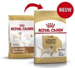 Royal Canin Labrador Retriever Adult 12 KG -Dierenwinkel 1200x1089 1