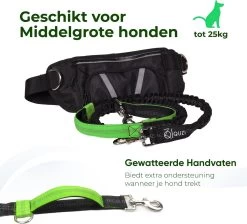 Canicross Looplijn Hond Met Heupriem Voor Hardlopen - Elastische Handsfree Hondenriem - Honden Trainingslijn - 150/200cm - Groen -Dierenwinkel 1200x1089 5