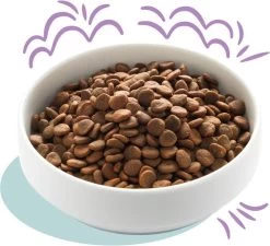 Edgard & Cooper Hondenvoer Puppy Verse Zalm En Kalkoen 7 Kg -Dierenwinkel 1200x1095 1