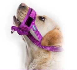 Sharon B Muilkorf Paars Maat M - Fleece - Wasbaar - Reflecterend