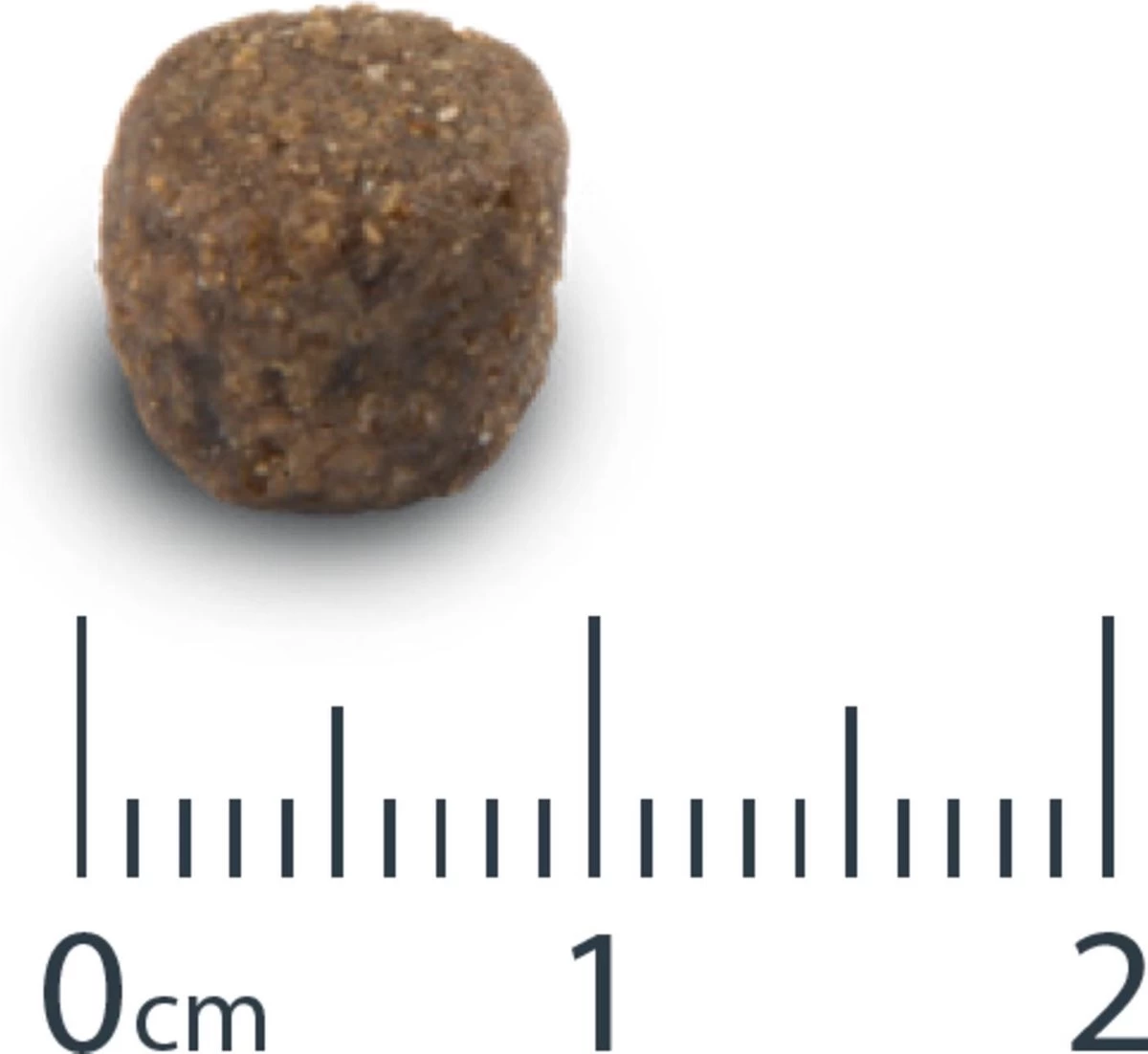 VERSELE-LAGA Versele Laga Opti Life Adult Medium - Hondenvoer - 12,5 Kg 6 VERSELE-LAGA Versele Laga Opti Life Adult Medium - Hondenvoer - 12,5 Kg - Afbeelding 4