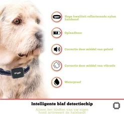 Doggie™ Anti Blafband Voor Kleine Honden - OPLAADBAAR - Vibratie én Geluid 19 Doggie™ Anti Blafband Voor Kleine Honden - OPLAADBAAR - Vibratie én Geluid -Dierenwinkel 1200x1104