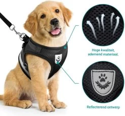 Hondentuig, Hondenharnas Met Hondenriem – Reflecterend - Zwart – Maat S (borst 30-35 Cm) 13 Hondentuig, Hondenharnas Met Hondenriem – Reflecterend - Zwart – Maat S (borst 30-35 Cm) -Dierenwinkel 1200x1113 9