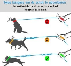 Oak's First Elastische En Diervriendelijke Looplijn Met Heupriem - Hondenriem - 150cm/210cm - Grijs -Dierenwinkel 1200x1114 11