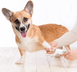 Auronic Elektrische Nagelvijl - Voor Dieren - Oplaadbaar - Draadloos - Diamant Vijlkop - Hond/Katten - Wit -Dierenwinkel 1200x1115 4